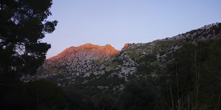 Puig Massanella i Serra dels Teixos